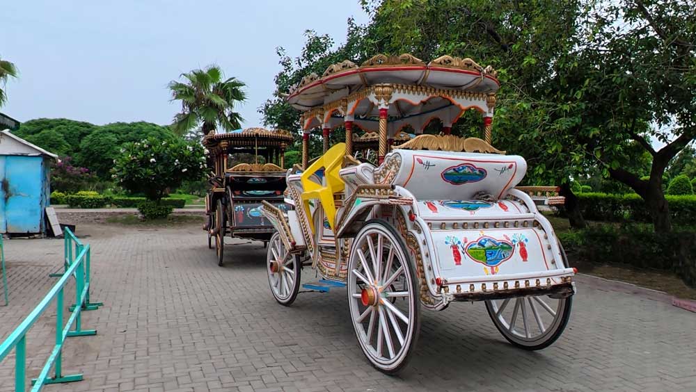Buggy Ride in Greater Iqbal Park, KasGraphy