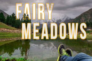 Fairy Meadows