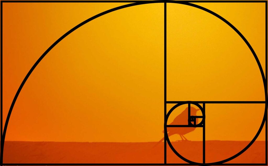 Golden Ration - Photography Composition Rules