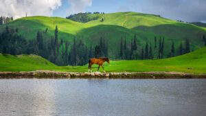 Shogran Valley