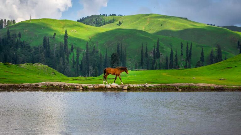 Shogran Valley