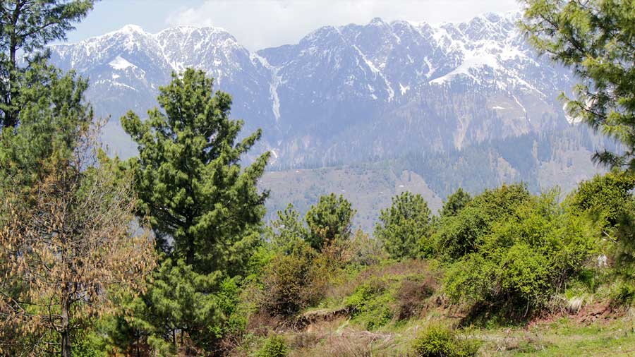 Scenic view from Shogran Valley