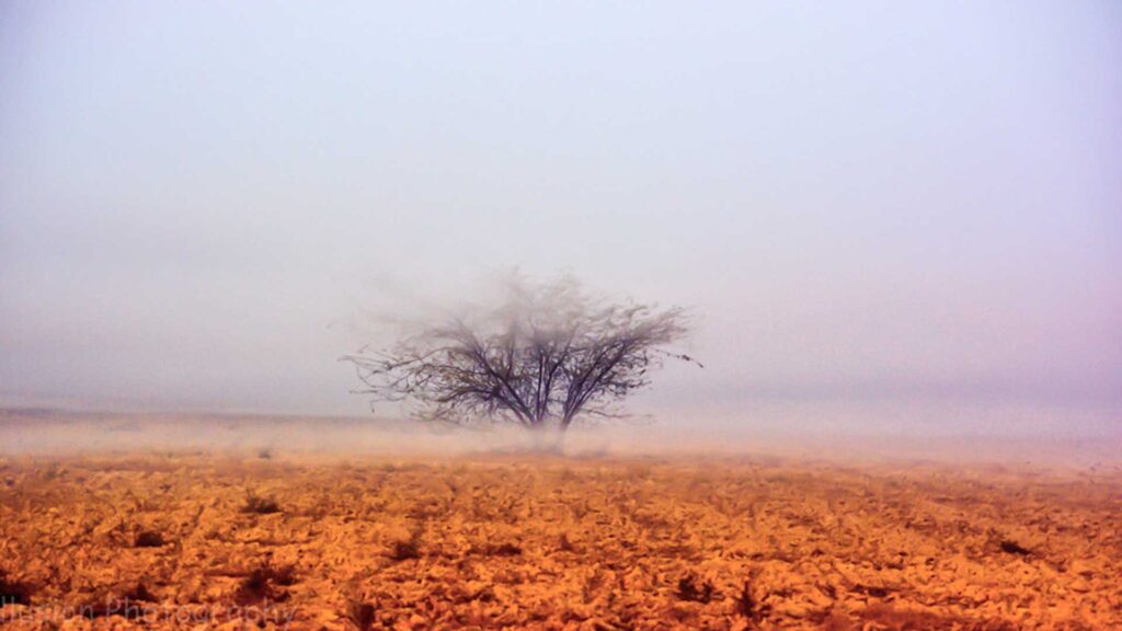 Embrace Weather Photography Example