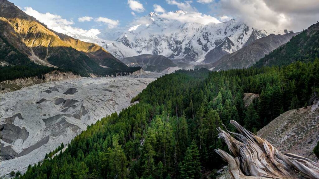 Include Foreground Interest Landscape Photography Tips