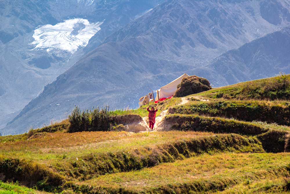 Life in Lalazar Meadows